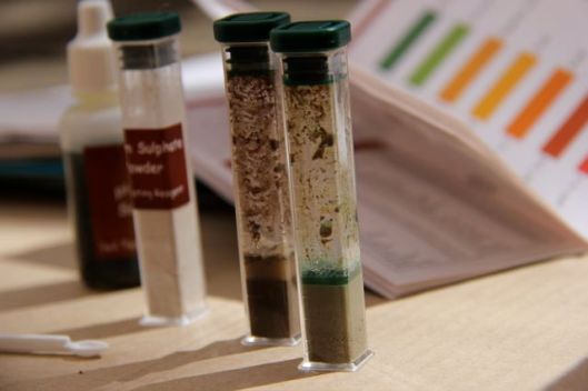 Testing soil