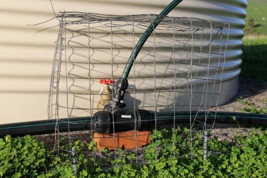 Propping up the fittings with bricks and fitting with a protective cage to prevent livestock damage.