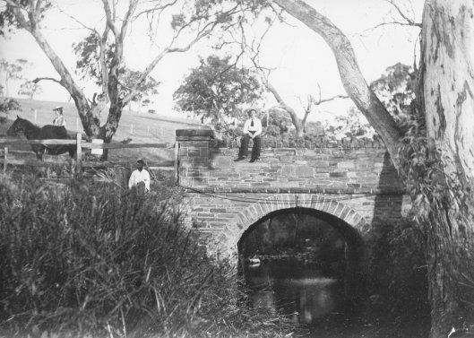 4567. Anacotilla Bridge