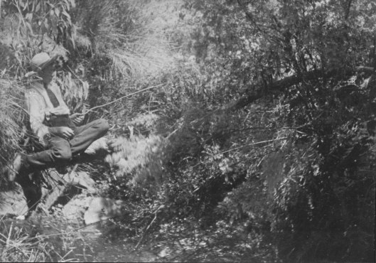 4568. Garnet Kelly, 13 years