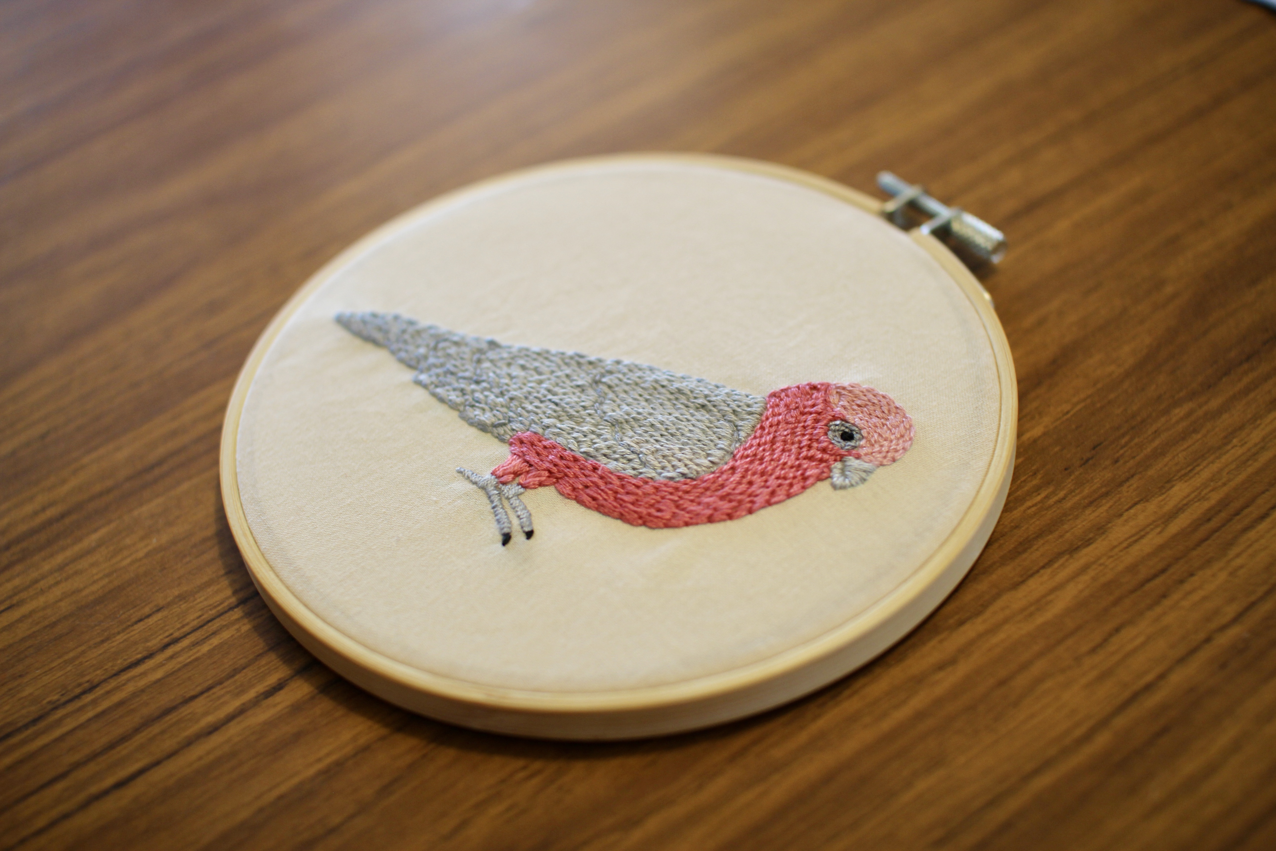 8F5AFF87-926D-4DB1-BD9A-AA50588FE642_1_201_a